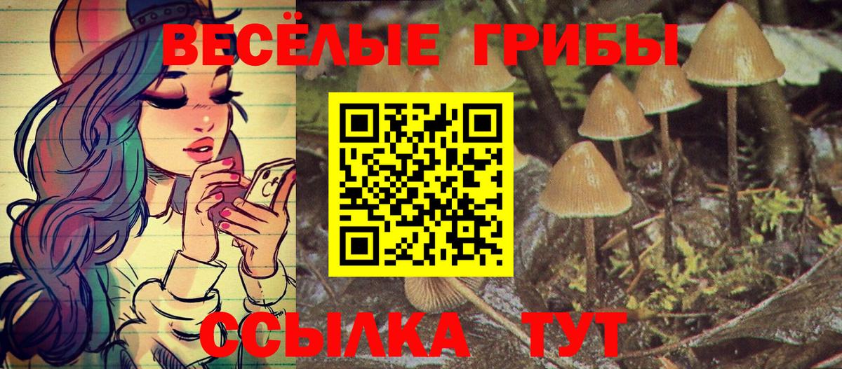 Галлюциногенные грибы Cubensis Малоярославец