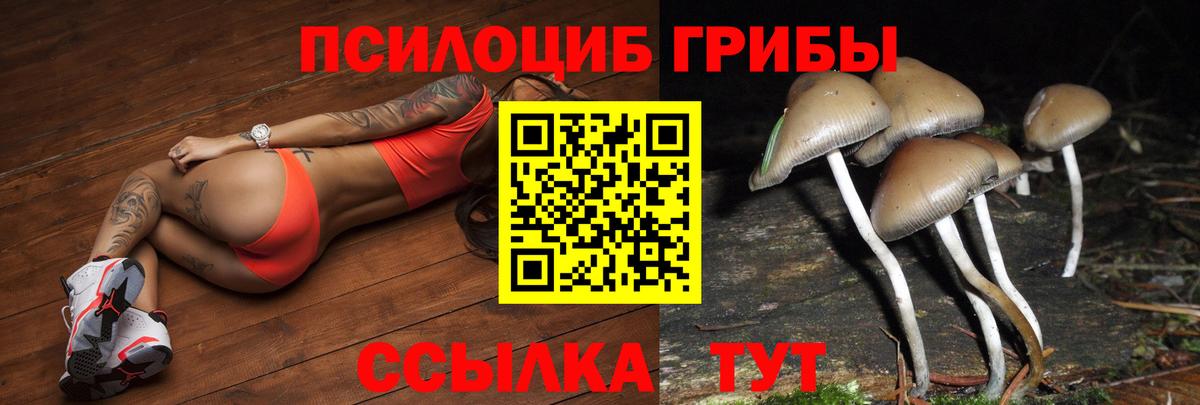Малоярославец  Псилоцибиновые грибы Magic Shrooms  Псилоцибиновые грибы Psilocybe  наркошоп  Вход с VPN 